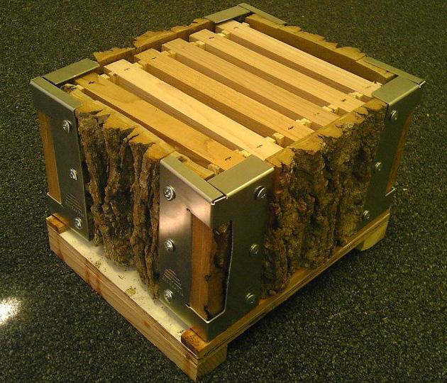 Natural Wood Tree Hive Observation Hive