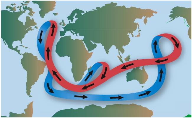 Ocean Currents redistribute thermal energy around Earth (p 471-473) Convection currents in the oceans move large amounts of thermal energy all around Earth.
