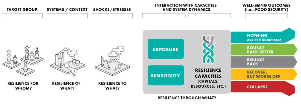 Mercy Corps Resilience Conceptual Framework Source: Mercy