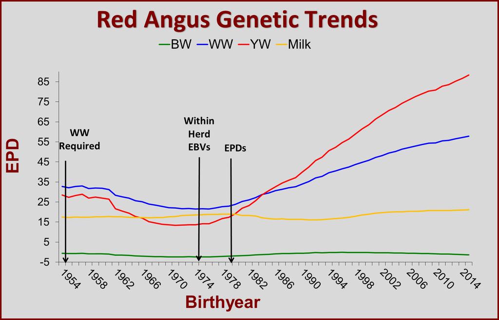 Milk Trends 25 Angus Genetic Trends Milk 2 15 1 5 Kuehn and Thallman BIF Proceedings 216-5 1972 1973 1974 1975 1976 1977 1978 1979 198 1981 1982 1983 1984 1985 1986 1987 1988 1989 199 1991 1992 1993