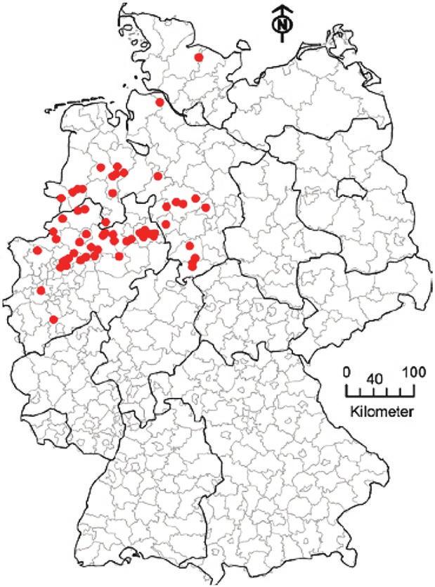 Germany Red dots indicating the proof of at least one Norway rat carrying the resistance marker Y139C.