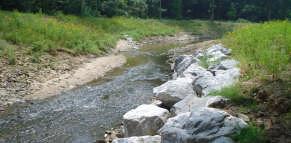What can it do for your watershed o Stream bank erosion o Floodplain connection o