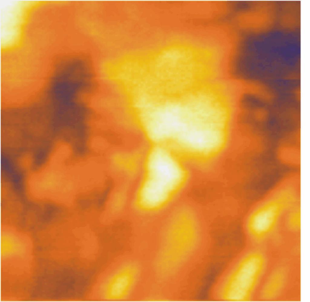 Topography and AFAM Image of Nanocrystalline Nickel Cantilever spring constant: kc = 48 N/m, Free