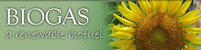 http://biogas.ifas.ufl.