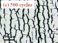The thermal cracks were easily and clearly observed at the surface after 300 thermal cycles