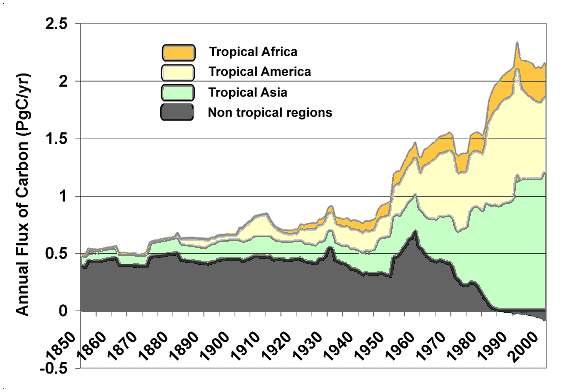 Carbon emissions from tropical deforestation 1998: emissions from