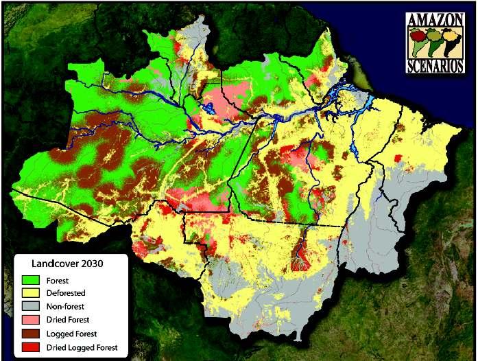 Amazon 2030: 55% cleared or degraded; 15-25 B