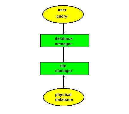 Database Organization Database Management System (DBMS) Four major components of