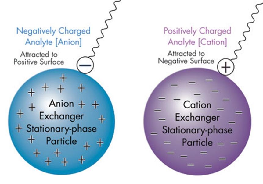 Nitrate Removal Ion Exchange - Background Selective process involving removal of unwanted ions by exchanging them with desirable ions stored