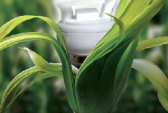 biofuel Promote agro-processing using renewable energy and