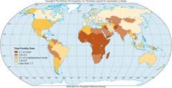 Mortality Rate Deaths /100,000 live births Single greatest health disparity between developed and
