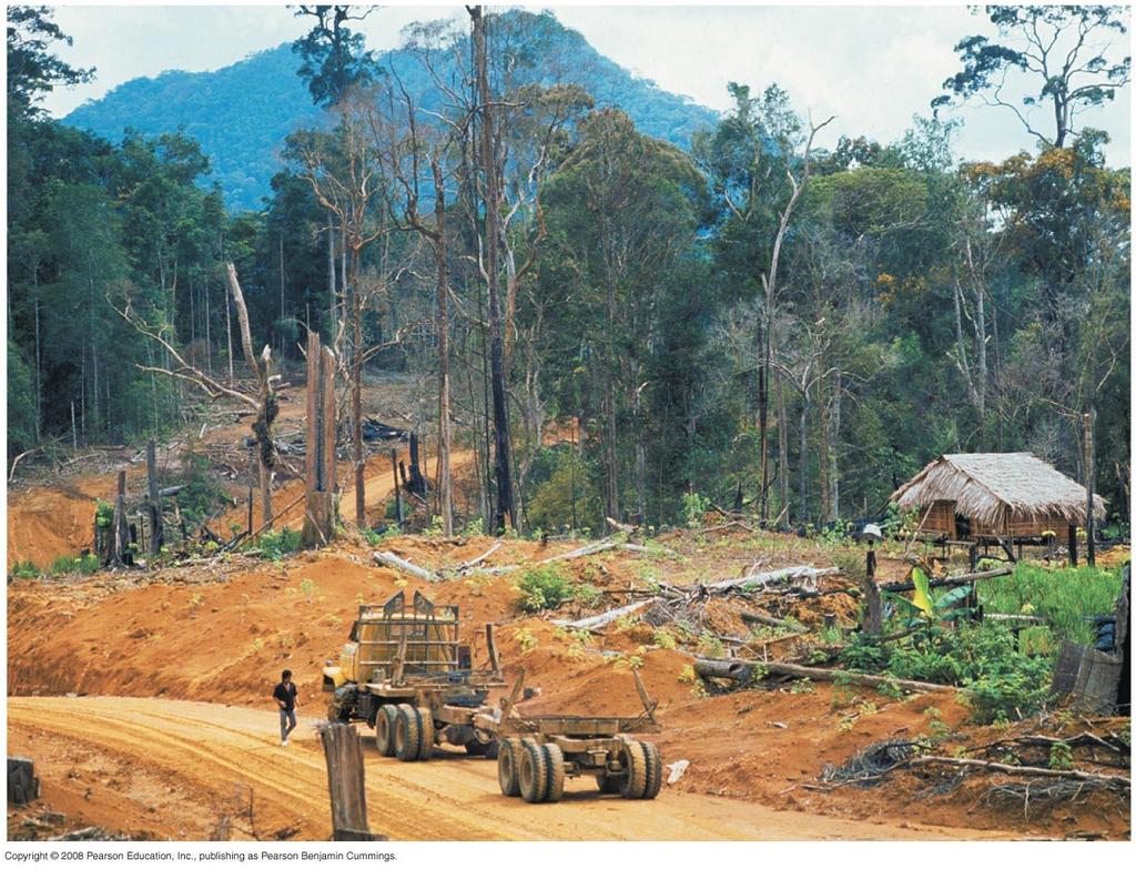 Fig. 56-2 Tropical deforestation in