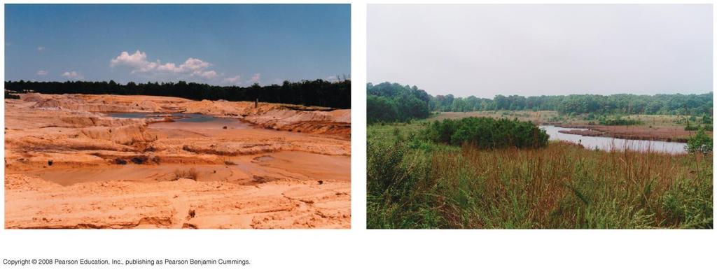 Fig. 56-21 A gravel and clay mine site in New Jersey before and after