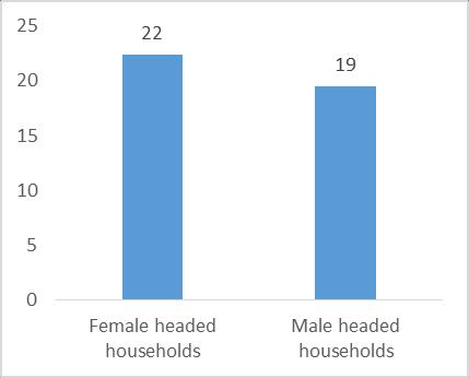 [Figure 20] Reduced Coping Strategy Index by the Sex of Household Head Female headed households not only had lower percentage of acceptable food consumption, but presented on average a higher score