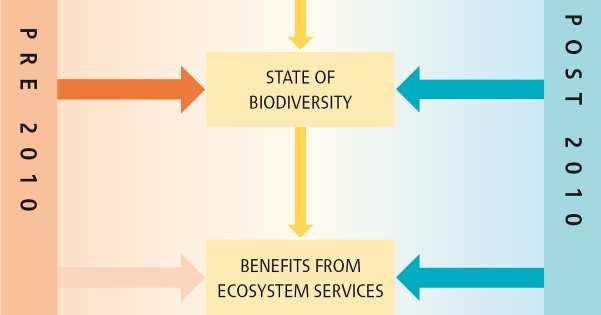 Directly safeguard ecosystems, species and genetic diversity D.