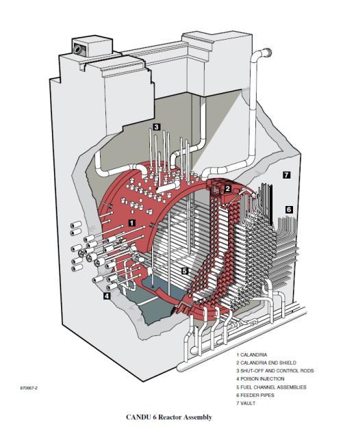Reactor Vessel Assembly The CANDU reactor consists of the horizontal cylinder called the Calandria Fuel and coolant tubes run horizontally