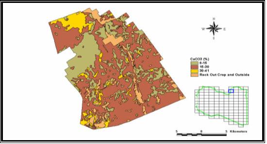 Figure (9): Soil Salinity Classes in the Northeast Al-Khadra 3.2.