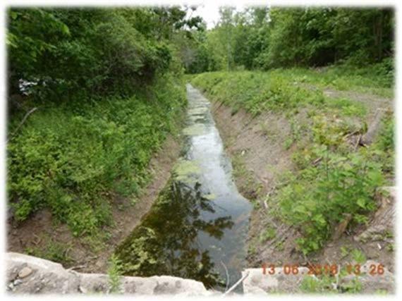 open ditch and, thus, minimize the need for drain maintenance. In many cases, this would involve taking productive land out of operation.
