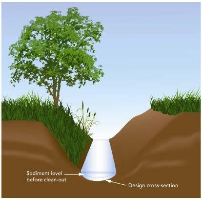 1.4 Bottom Cleanout Plus One Bank Slope A bottom cleanout plus one bank slope includes the dredging of sediments and vegetation in the bottom of the drain as well as removal of vegetation from one
