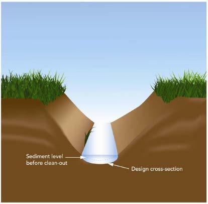 1.5 Full Cleanout A full cleanout is the removal of sediments and vegetation in the bottom of the drain as well as removal of vegetation from both bank slopes, including roots (Figure 5).