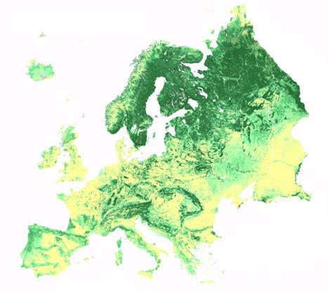 Canopy interception Deposition (wet/dry) Stem flow Through flow Leaf/needle fall AoL (litter layer) FIG. 3.34. Forest map of Europe.
