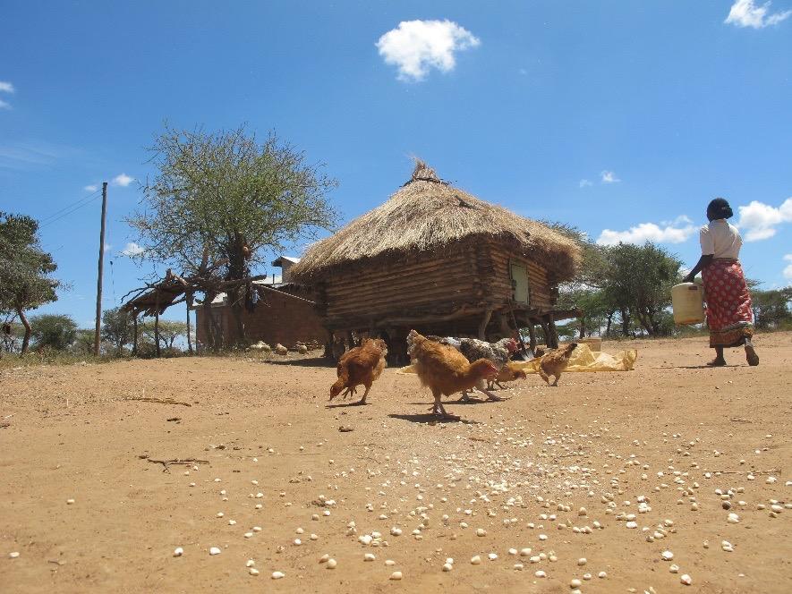 Project overview BSSEC Project title: Location: Partner: Integrated Food Security Project Kitui, Kenya Diocese of Kitui Project duration: July 2014 to June 2017 The need The majority of communities