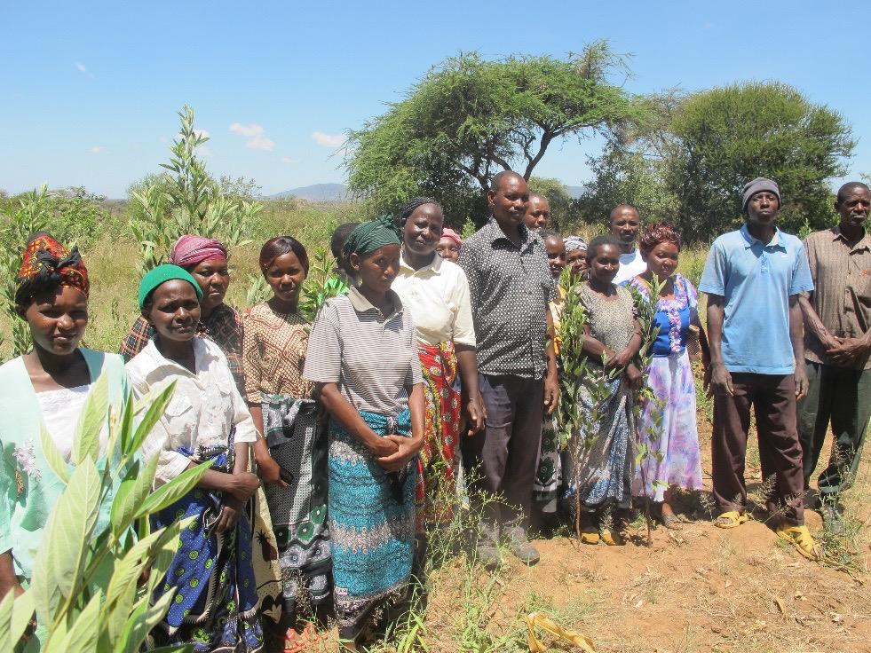 Kakululo Sub-location Farming Group Kikombo Ngesa (centre, grey shirt): When the project started, I took measurements to terrace the land.