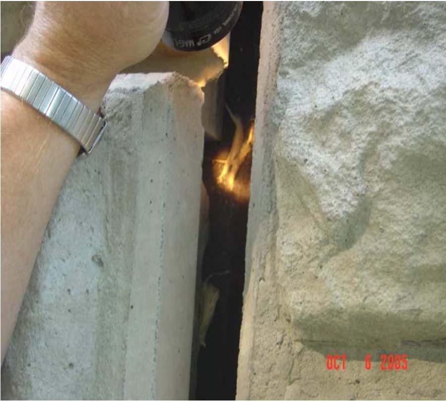 Exposure of Fabric at Joints Plant or tree roots (organic) Geotextile Fabric Organic material exposed between panels and filter fabric (behind the wall face).