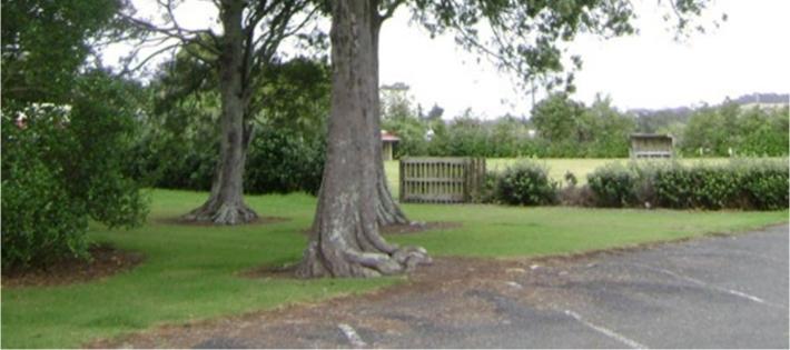 community. One Notable Tree within the District is subject to a Heritage Order. It applies to the Morton Bay Fig tree at Pahi (See Appendix 19.1).