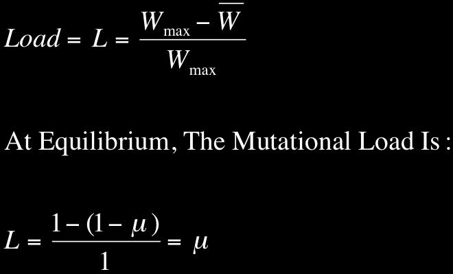 Muller s Model Load Is Independent of s and Is A