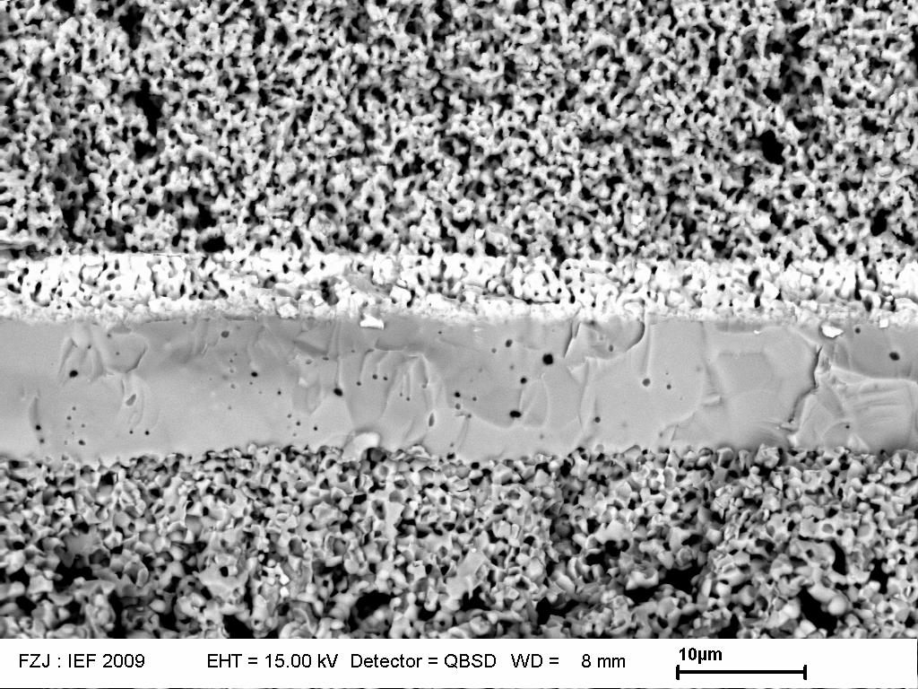 SEM fracture surface of anode-supported SOFC Cathode La 0.