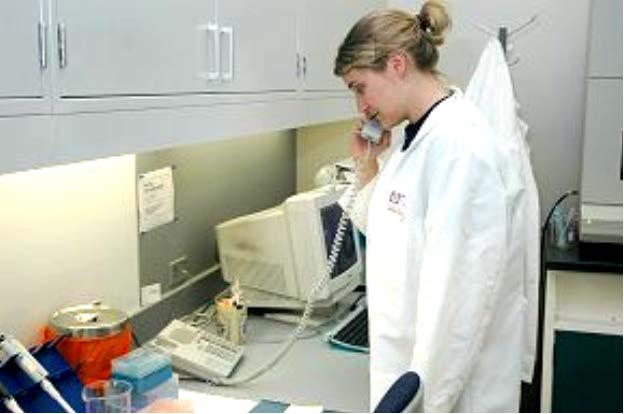 Submitters may contact the rabies laboratory at 512-776-7595.