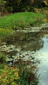46 Primary Practice: Stormwater Wetlands Constructed wetlands systems May not have