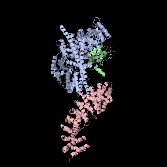 Other protein tools PDB Protein Data Bank protein