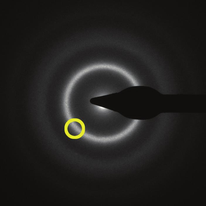 The red circle indicated a region used for later electron diffraction.