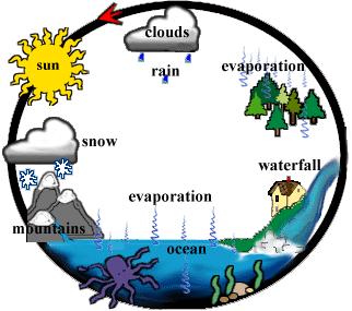 Matter cycles in and out of an ecosystem Water is a major part of life on Earth and it has its own cycle, called the