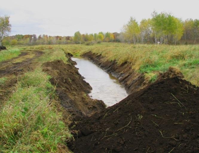 In addition, when attempting to restore nondepressional wetland flats that are large in size, some grade or elevation drop may exist across the landscape.