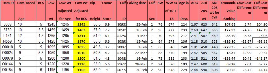 Selection based on an Economic Ranking System Breakeven Economic Value Ranking Cow Cost Differences Calf Cost Differences avg. adjusted mature cow wt. & avg. adjusted 205 day calf weaning wt.