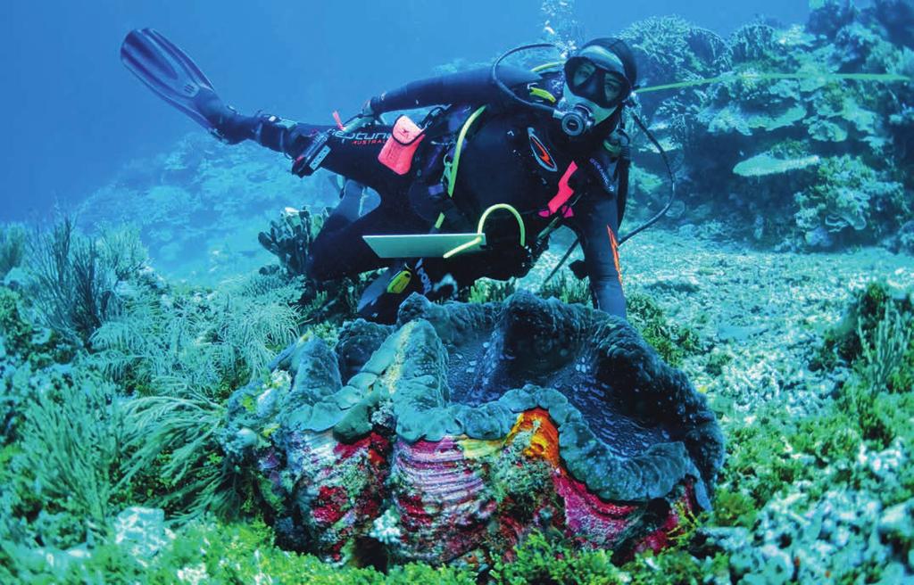 Marine biodiversity study at Scott Reef, Western Australia understand the global environments where we have interests.