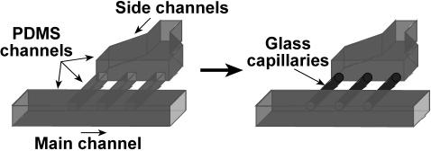 Schematic drawings of two microfluidic devices used to inject a substrate into an array of preformed plugs: (A) simple T-junction device; (B) multijunction injector described in this paper.