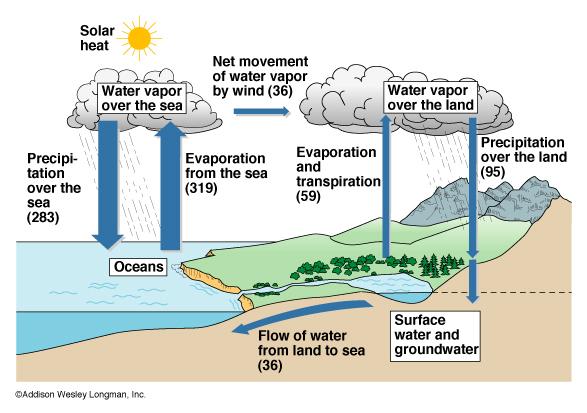 A variety of ways The Water Cycle Atmospheric water vapor