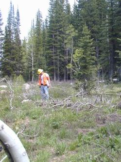 IWRIME has not traditionally conducted inventories on National Forest lands in the West, but in Montana, a cooperative agreement with funding and personnel from the Inventory Service Center of the
