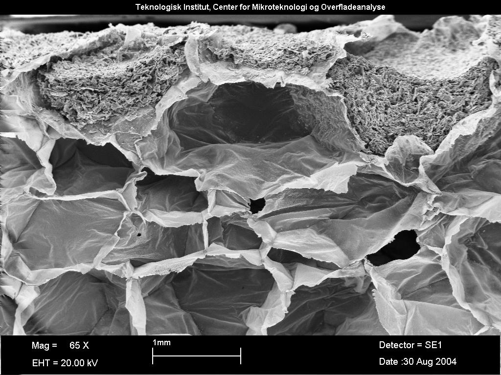 Page 12 of 16 Figure 3: Scanning Electron Microscopy Photos of TachoSil A.
