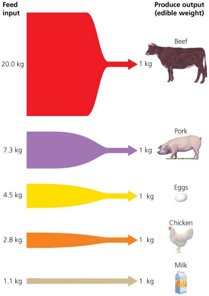 QUESTION: Interpreting Graphs and Data If a person eats 3 kg of meat per week, how many