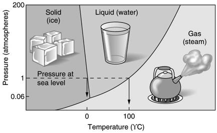 5 Phase Changes - change P and T (condensation, sublimation, boiling) Heat & Phase Changes: The Calorie is the unit of measure of Heat Energy Definition of a Calorie: Heat required to raise 1