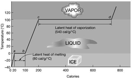 order - individual molecules rocketing through the atmosphere 14 Latent Heat & Phase Changes: Cartoon What is Latent Heat?
