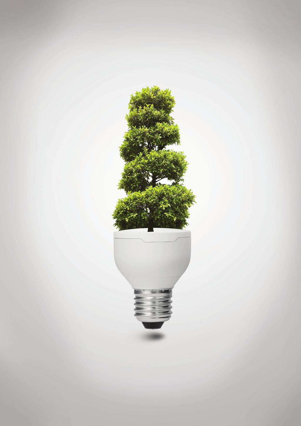 Green growth cycle: energy efficiency in support of