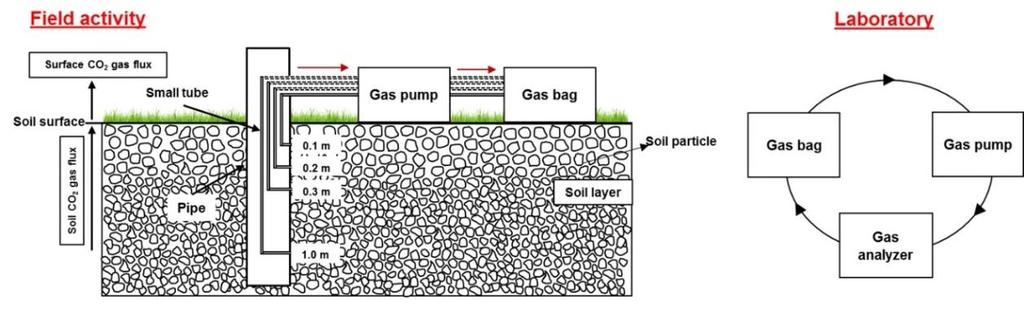Fig. 3. Field meaurement method of oil CO 2 concentration profile uing a ga pump and ga bag at INAS tet field, and laboratory meaurement with a CO 2 analyzer Ga diffuion coefficient, D (m 2.h -1 ).4.