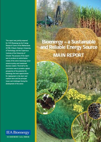 Solid Waste and Its Role in Sustainability Benefits of Bioenergy Potential Contribution of