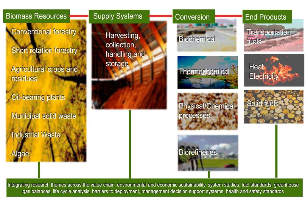 Bioenergy involves a range of feedstocks and technology options